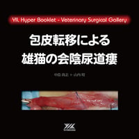 YIL ハイパーブックレット　ヴェテリナリサージカルギャラリー「包皮転移による雄猫の会陰尿道瘻」