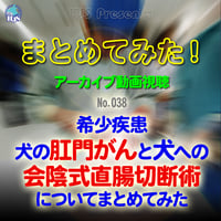 まとめてみた！：No. 038：希少疾患：犬の肛門がん と犬への会陰式直腸切断術についてまとめてみた：アーカイブ