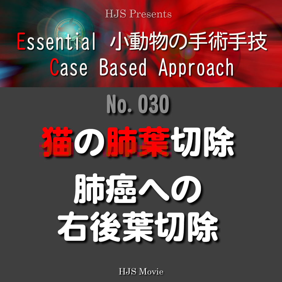 63ccb293ae516e062e5f46ce