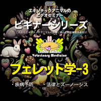 エキゾチックアニマルビデオセミナー：ビギナーシリーズ：フェレット学-3