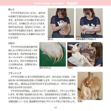 YILハイパーブックレット-ケアマニュアル「ウサギ」