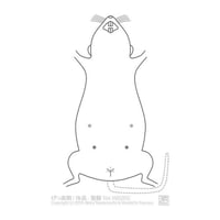 ゑぺたん：げっ歯類：体表-腹側