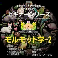 エキゾチックアニマルビデオセミナー：ビギナーシリーズ：モルモット学-2