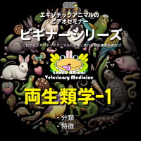 エキゾチックアニマルビデオセミナー：ビギナーシリーズ：両生類学-1
