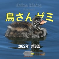 Avian Dining主催  鳥さんゼミ  第8回：糞便検査・そ嚢検査 パート2