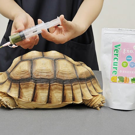 草食動物用流動食 Vercure Exo.（ヴェルキュア エキゾ）2g分包30包入り（1箱）