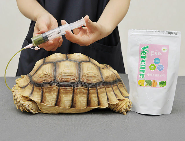 ヴェルキュア　エキゾ Vercure exo. パウダー 2g 動物病院専用5箱 VERCURE EXO．（ヴェルキュアエキゾ）(60g(2g×30包