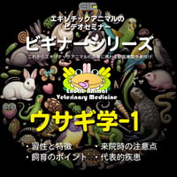 エキゾチックアニマルビデオセミナー：ビギナーシリーズ：ウサギ学-1
