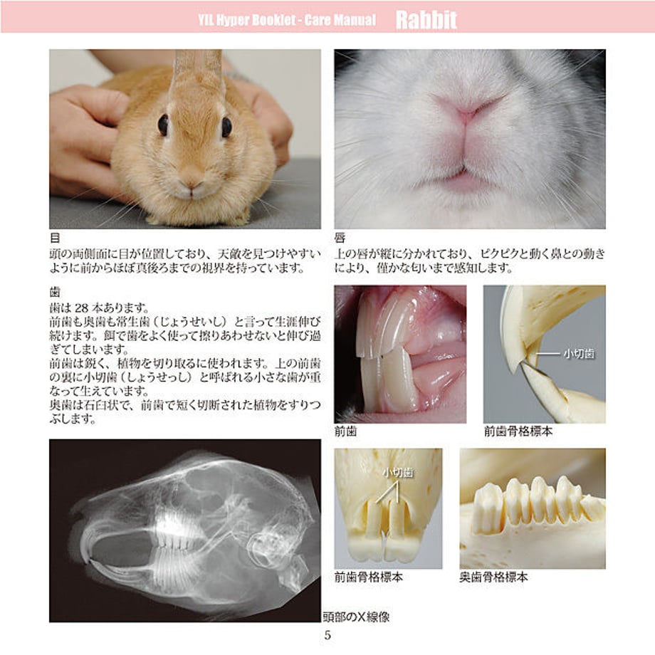 5d5bb8ad089c6663acd8fe59