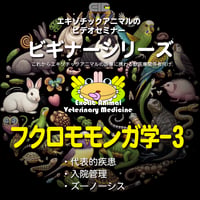 エキゾチックアニマルビデオセミナー：ビギナーシリーズ：フクロモモンガ学-3
