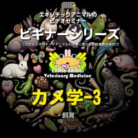 エキゾチックアニマルビデオセミナー：ビギナーシリーズ：カメ学-3