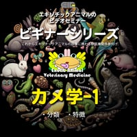 エキゾチックアニマルビデオセミナー：ビギナーシリーズ：カメ学-1