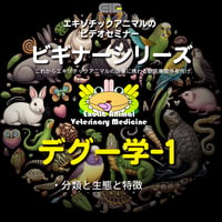エキゾチックアニマルビデオセミナー：ビギナーシリーズ：デグー学-1