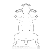 ゑぺたん：ウサギ：体表-腹側