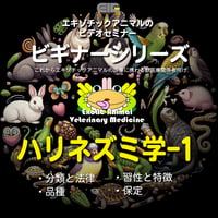 エキゾチックアニマルビデオセミナー：ビギナーシリーズ：ハリネズミ学-1