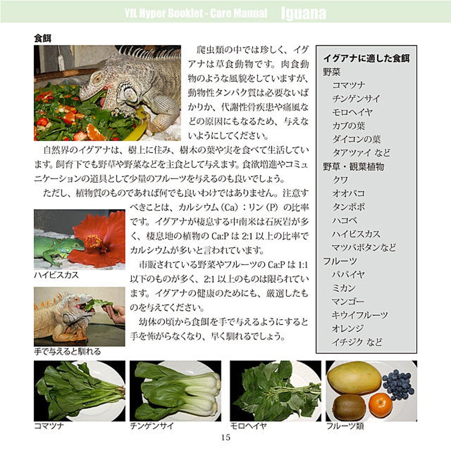 5d5bb8ad089c6663acd8fe5d