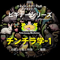 エキゾチックアニマルビデオセミナー：ビギナーシリーズ：チンチラ学-1