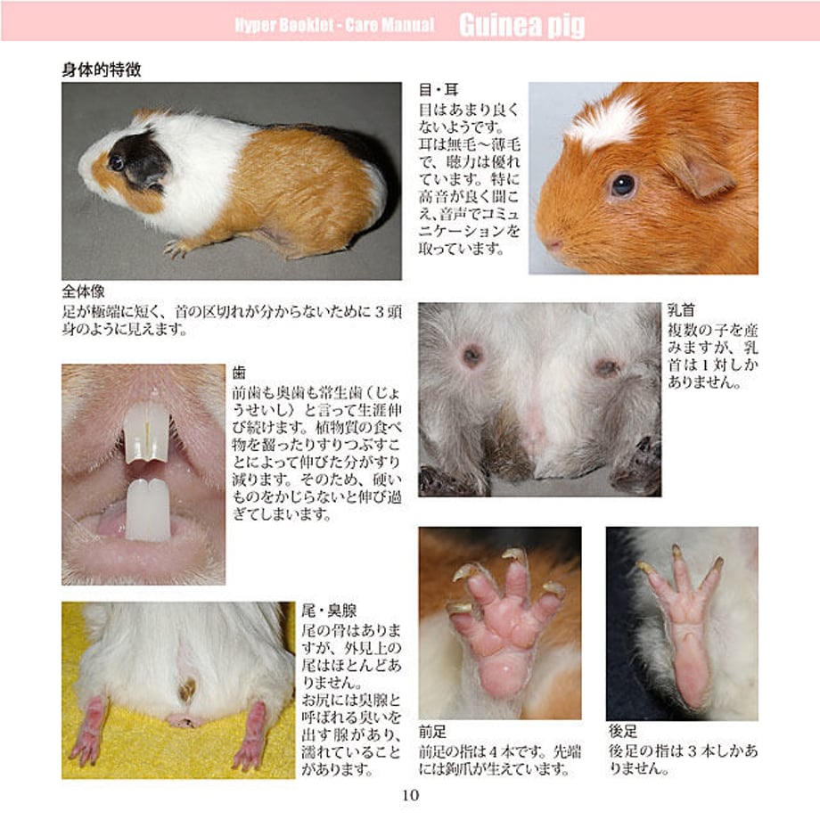 5d5bb8ad089c6663acd8fe5b