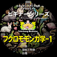 エキゾチックアニマルビデオセミナー：ビギナーシリーズ：フクロモモンガ学-1