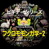 エキゾチックアニマルビデオセミナー：ビギナーシリーズ：フクロモモンガ学-2