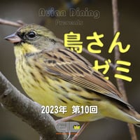Avian Dining主催  鳥さんゼミ  第10回：生殖器疾患・卵関連疾患 パート1
