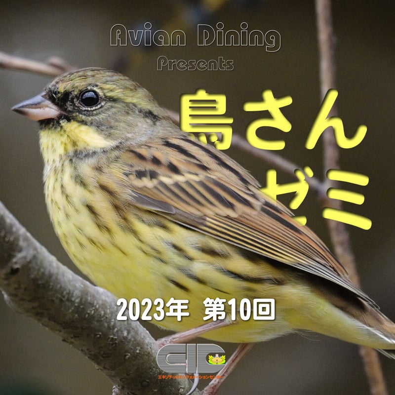 Avian Dining主催 鳥さんゼミ 第10回：生殖器疾患・卵関連疾患