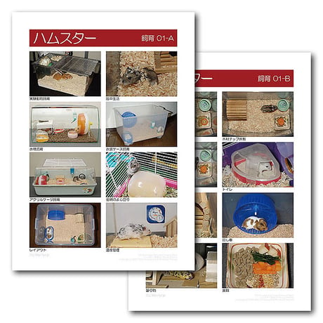 インフォームドコンセントシート：ハムスター：飼育01