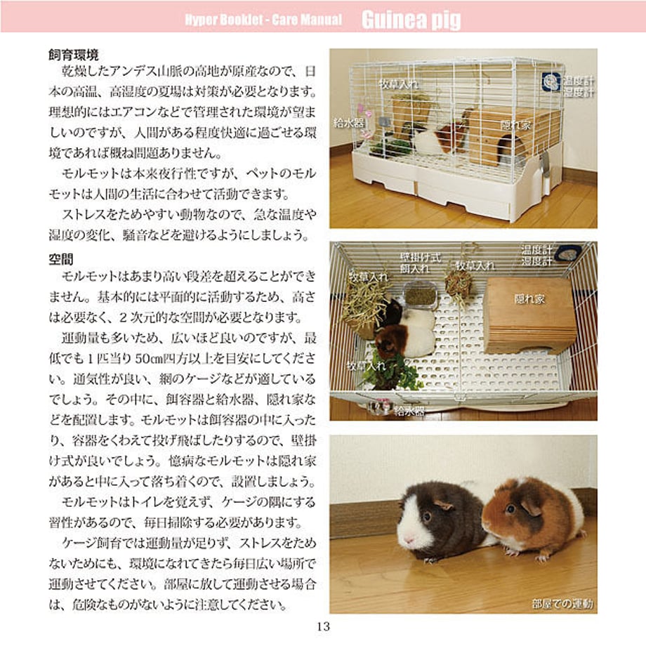 5d5bb8ad089c6663acd8fe5b
