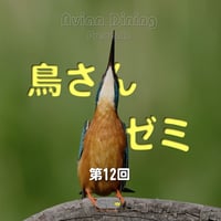 Avian Dining主催  鳥さんゼミ  第12回：生殖器疾患・卵関連疾患