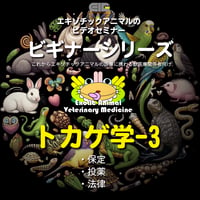 エキゾチックアニマルビデオセミナー：ビギナーシリーズ：トカゲ学-3