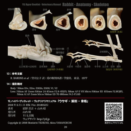 YILハイパーブックレット-ヴェテリナリマニュアル「ウサギ-解剖-骨格」