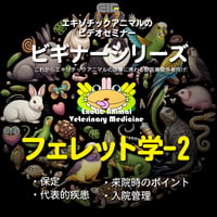 エキゾチックアニマルビデオセミナー：ビギナーシリーズ：フェレット学-2
