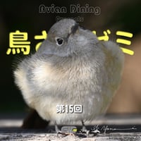 Avian Dining主催  鳥さんゼミ  第15回：血液検査