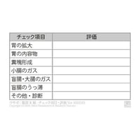 ゑぺたん：ウサギ：腹部X線-チェック項目・評価