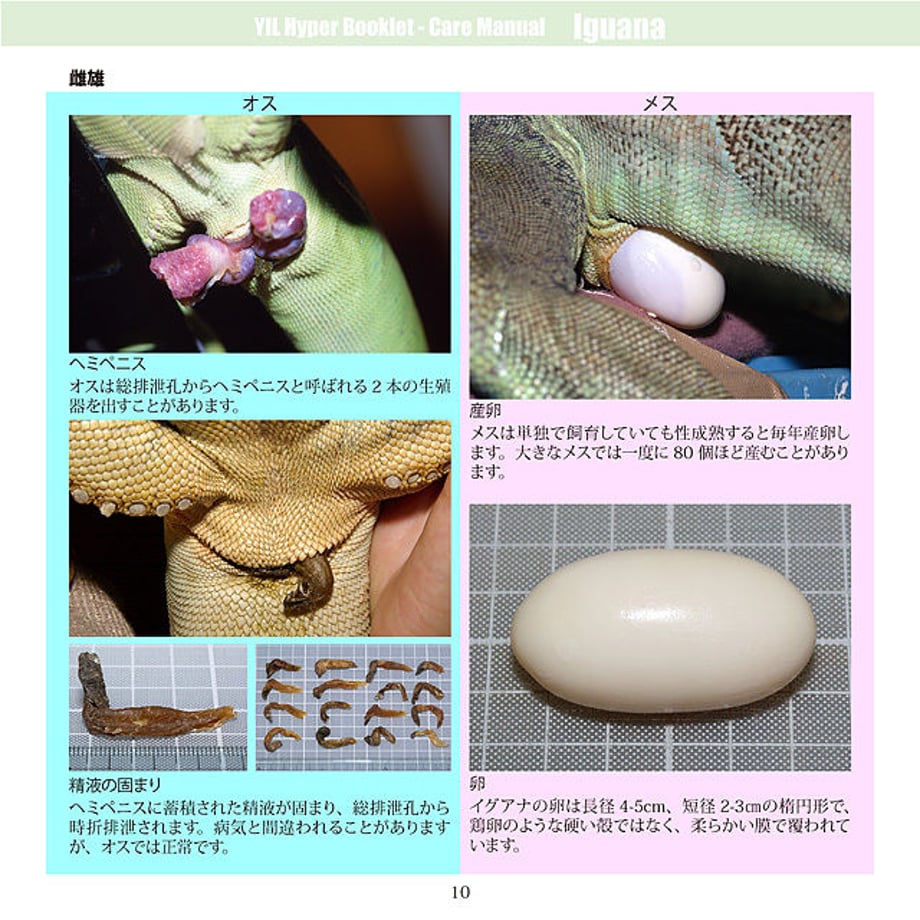 5d5bb8ad089c6663acd8fe5d
