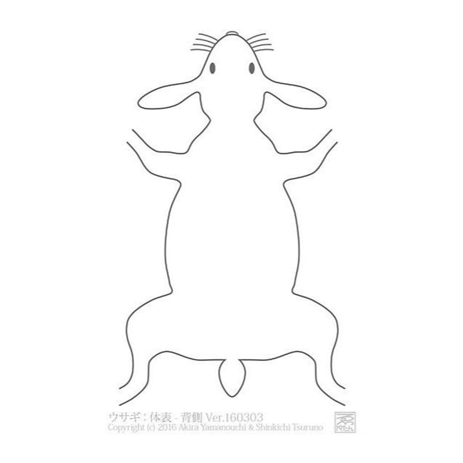 5d5f9e2d089c6653f0e3e94d