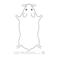 ゑぺたん：ハムスター：体表-背側