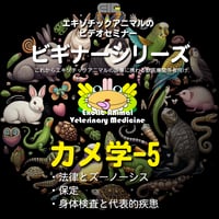 エキゾチックアニマルビデオセミナー：ビギナーシリーズ：カメ学-5
