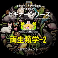 エキゾチックアニマルビデオセミナー：ビギナーシリーズ：両生類学-2