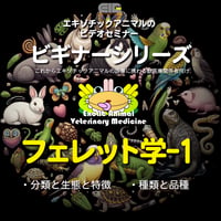 エキゾチックアニマルビデオセミナー：ビギナーシリーズ：フェレット学-1