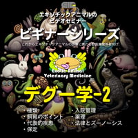 エキゾチックアニマルビデオセミナー：ビギナーシリーズ：デグー学-2