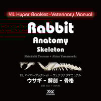 YILハイパーブックレット-ヴェテリナリマニュアル「ウサギ-X線