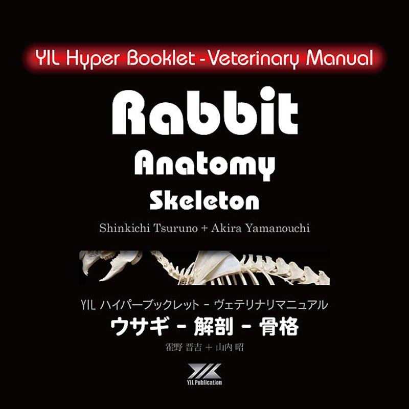 YILハイパーブックレット-ヴェテリナリマニュアル「ウサギ-解剖