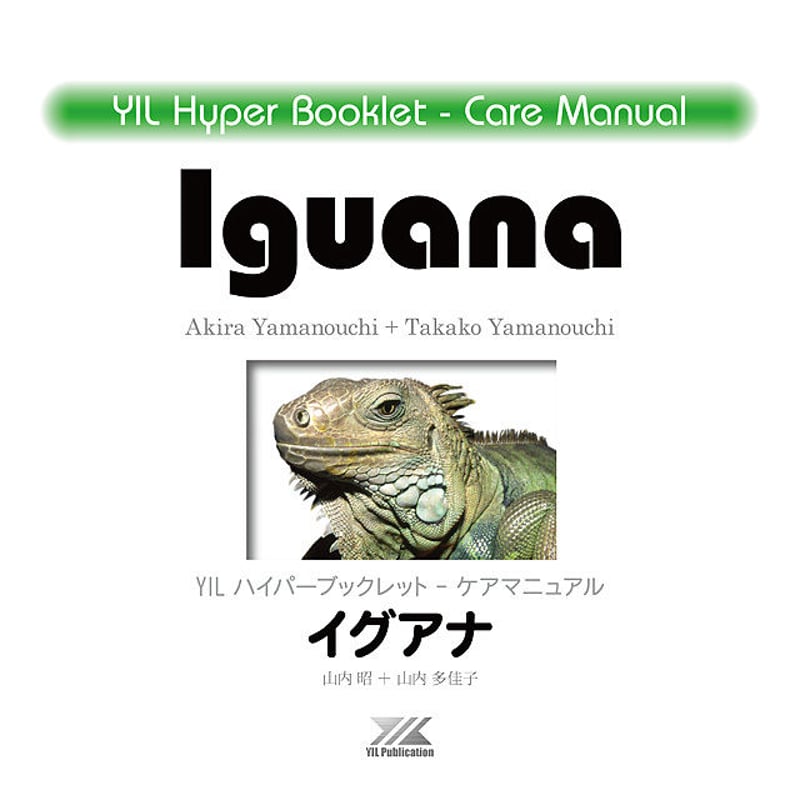 洋書　グリーンイグアナ　IGUANAS QUARTERY 洋書 グリーンイグアナ IGUANAS QUARTERY Green Iguanas