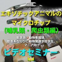エキゾチックアニマル（哺乳類・爬虫類）のマイクロチップ