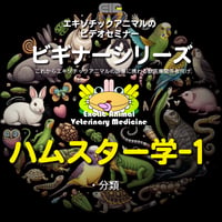 エキゾチックアニマルビデオセミナー：ビギナーシリーズ：ハムスター学-1