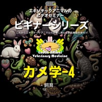モルモットの臨床　エキゾチックアニマル臨床シリーズ　2冊セット エキゾチック臨床シリーズ | 株式会社学窓社