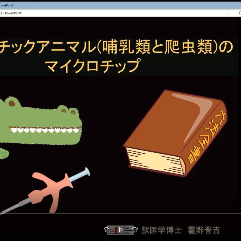エキゾチックアニマル（哺乳類・爬虫類）のマイクロチップ | EIC Store