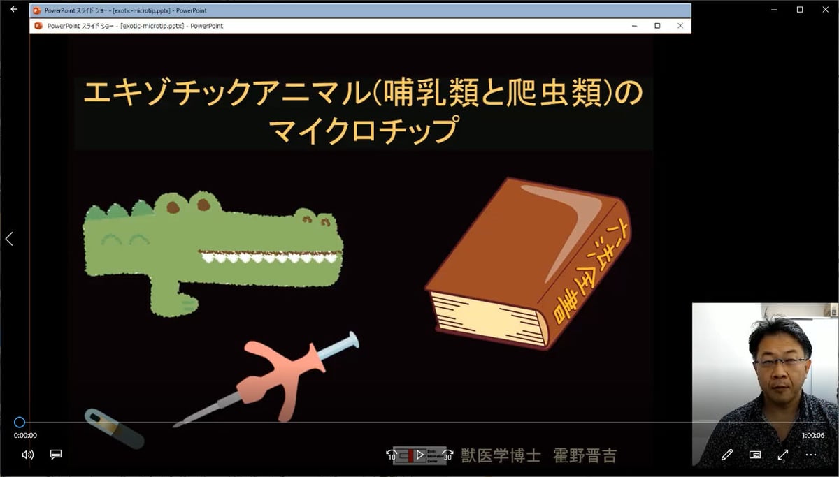 エキゾチックアニマル（哺乳類・爬虫類）のマイクロチップ | EIC Store