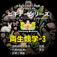 エキゾチックアニマルビデオセミナー：ビギナーシリーズ：両生類学-3